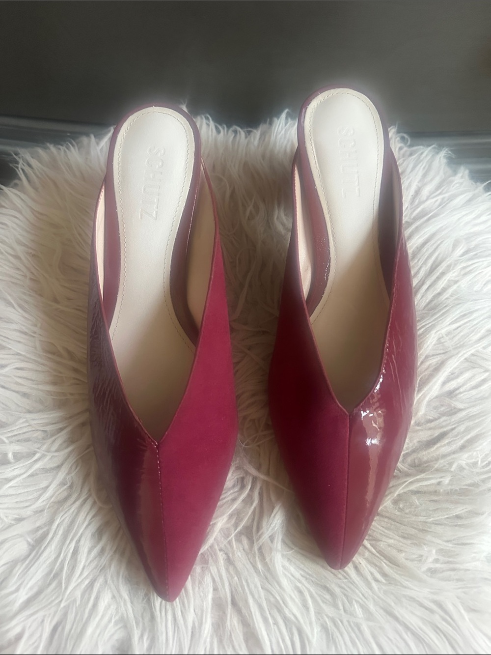Soleil Pointed-Toe Mule in Burgundy